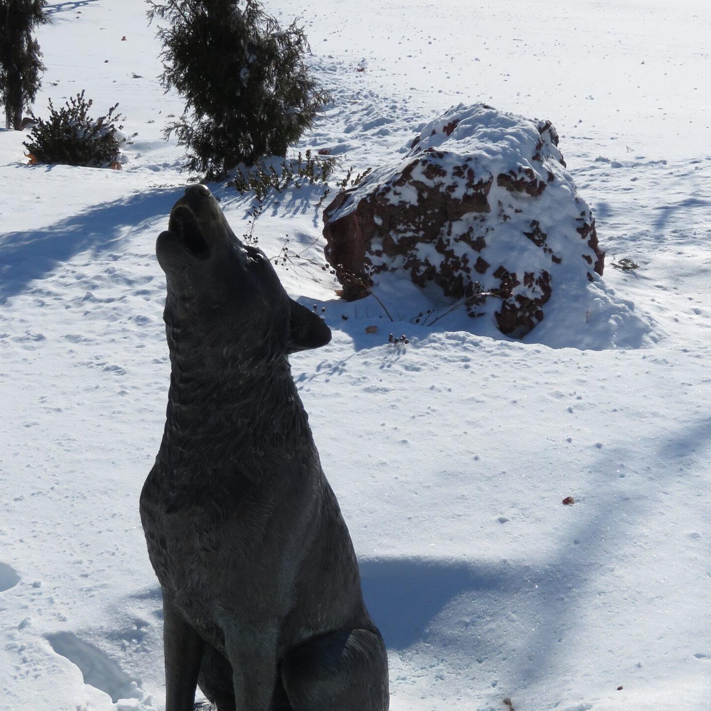 Coyote statue in snow